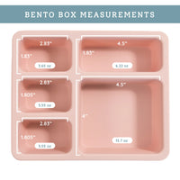 Silicone Bento Box || Wildflower Ripe Peach