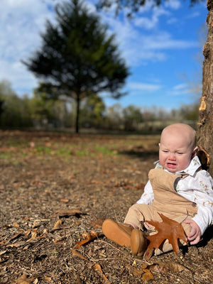 Jasper Woven Long Sleeve Onesie - Boy & Pups