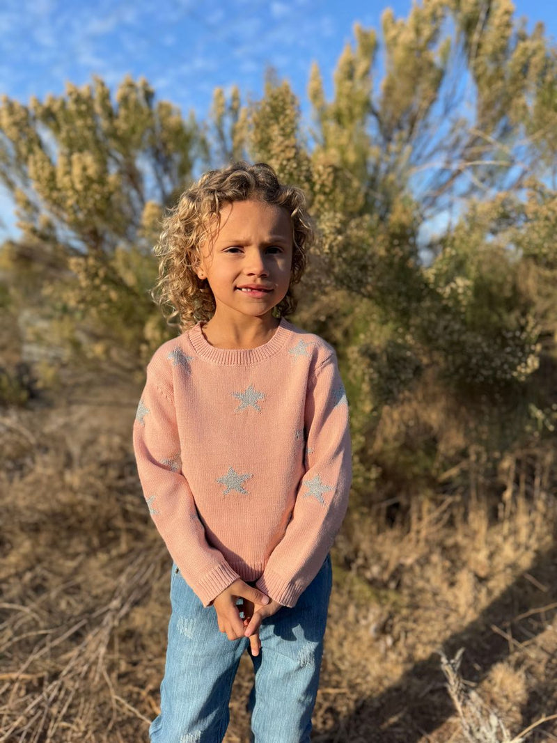 Robyn Sweater - Pink Star Knit