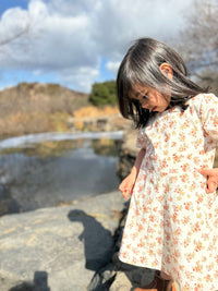 Debbie Dress - Autumn Floral