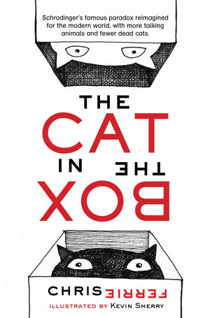 Cat in the Box: Whimsical Rhyming STEM Picture Book  (HC)