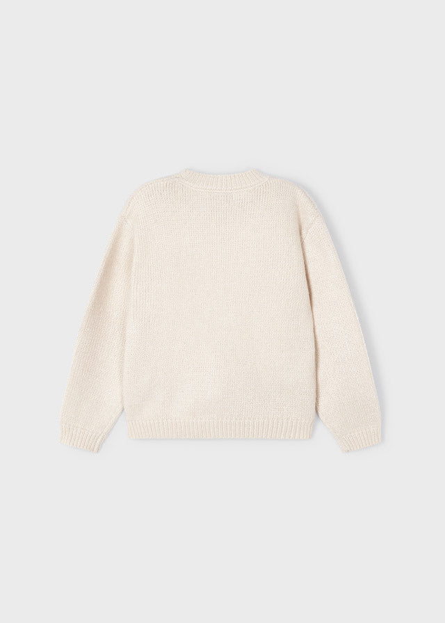 Floral Biscuit Sparkle Jumper Sweater