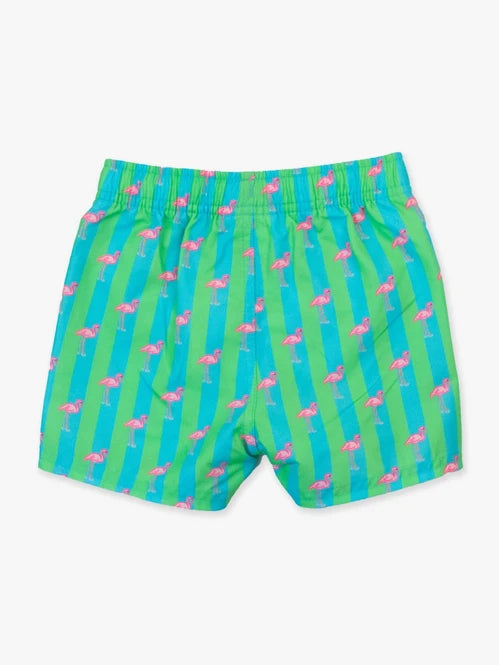 Neon Flamingo Stripe - Swim Trunks