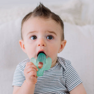 Cutie Coolers™ Water Filled Teethers (3-pack): Cactus