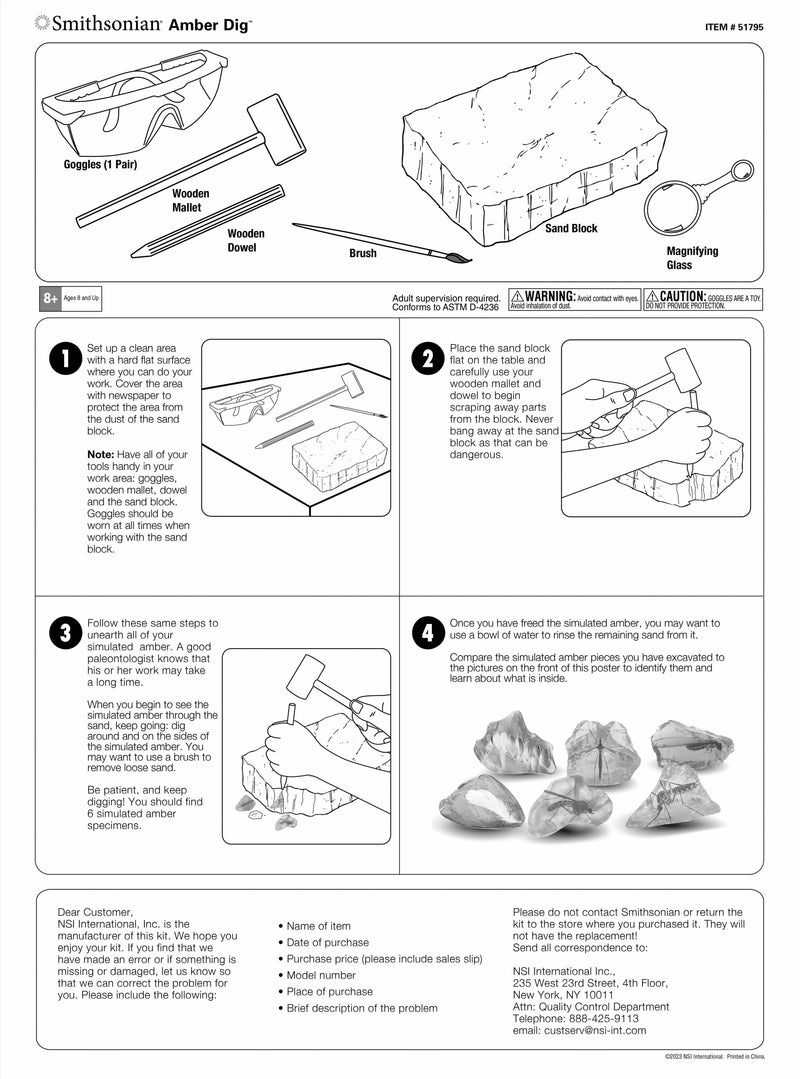 Smithsonian Amber Dig