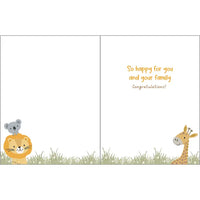 Greeting Card - Animal Hammock