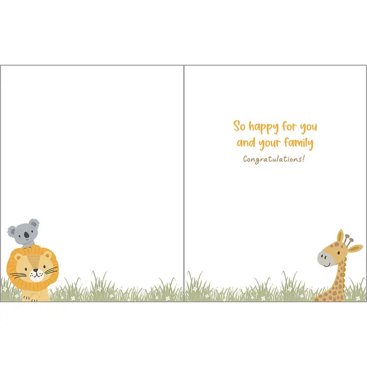 Greeting Card - Animal Hammock