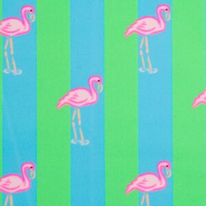 Neon Flamingo Stripe - Swim Trunks