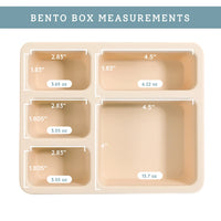 Silicone Bento Box - Safari Warm Cream