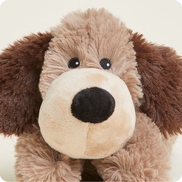 Brown Dog Warmies Junior - 9"