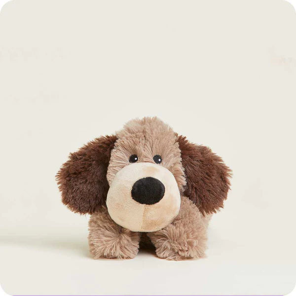 Brown Dog Warmies Junior - 9"