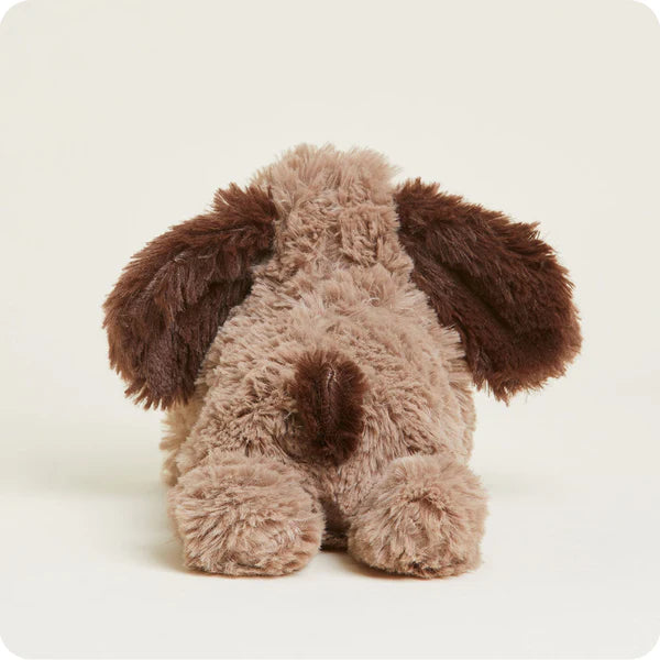 Brown Dog Warmies Junior - 9"