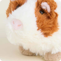 Guinea Pig Warmies Junior - 8"