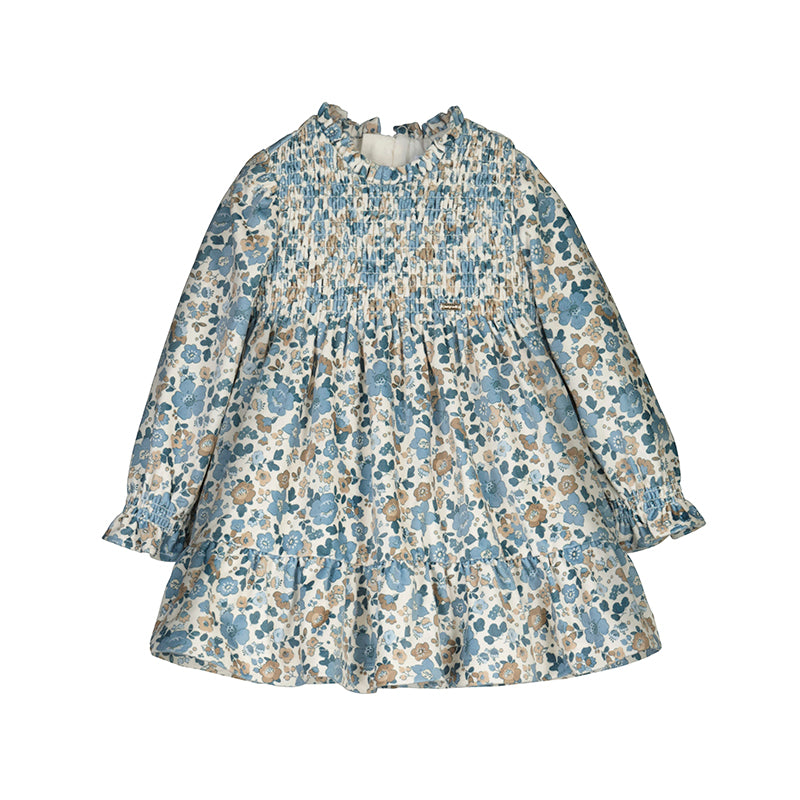 Blue Bell Printed Velvet Dress