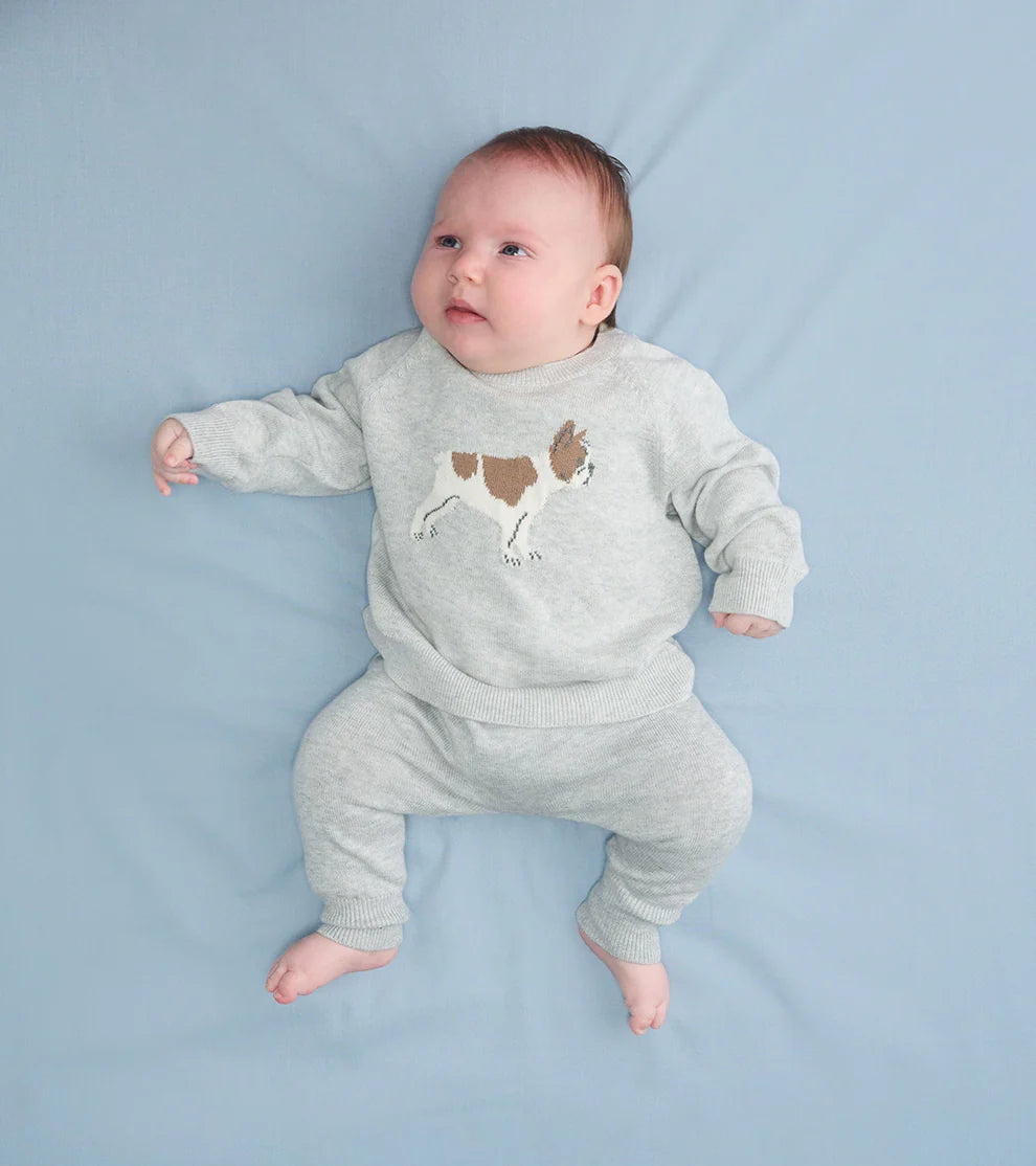 Little Bulldog Raglan Pull Over Sweater & Pant Set