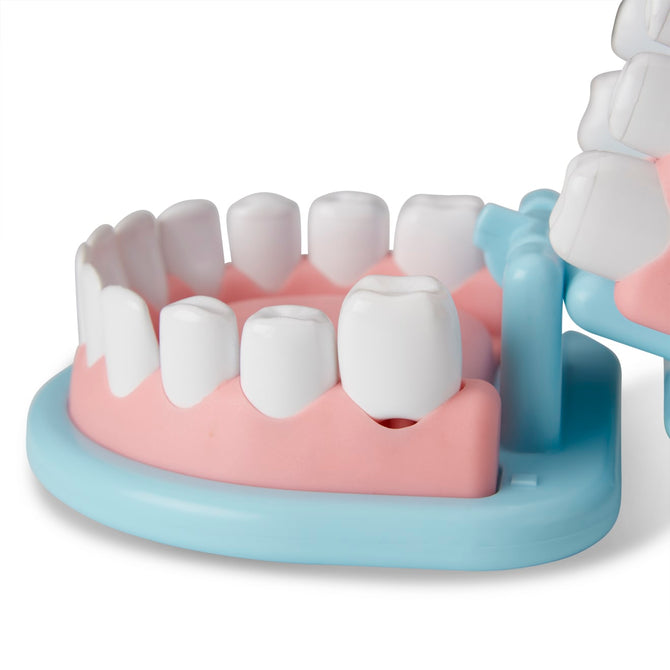 Super Smile Dentist Play Set