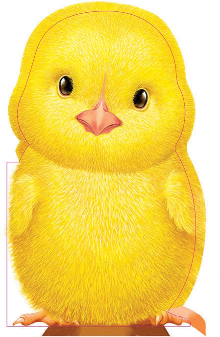 Furry Chick - Board Book