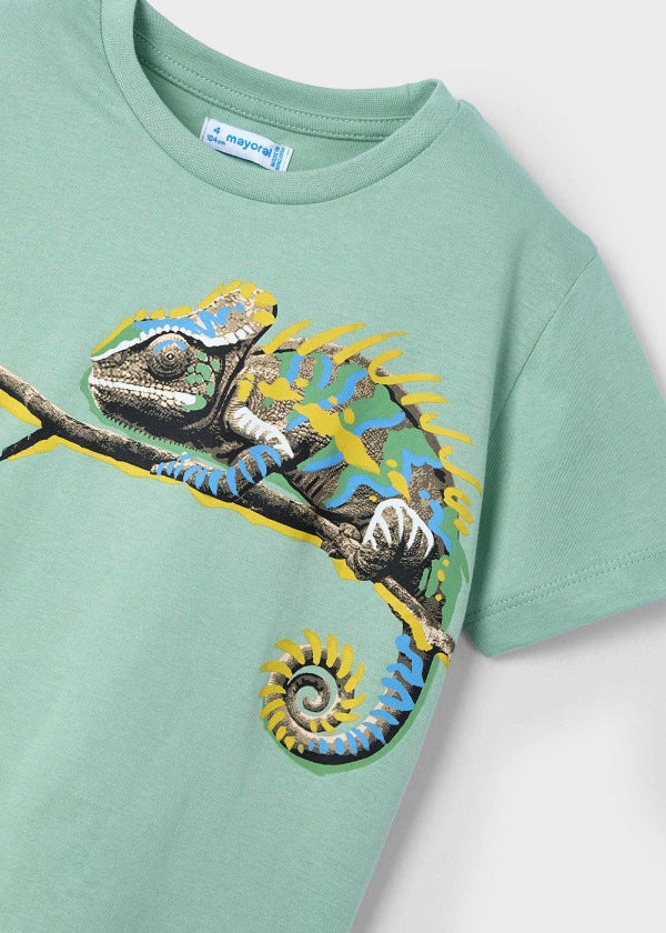 Chameleon Bayleaf Green T-Shirt