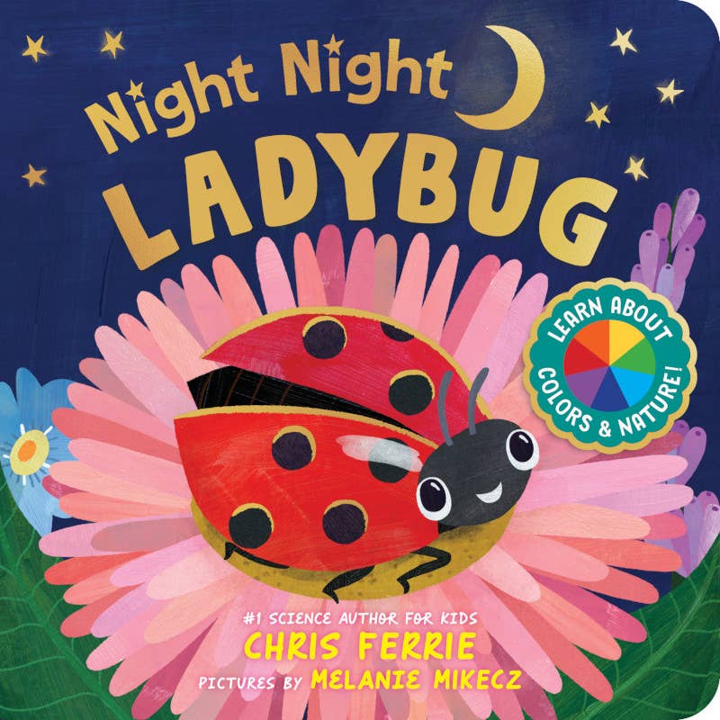 Night Night Ladybug - Board Book