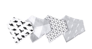 Bandana Bib Set 4pk - Wild