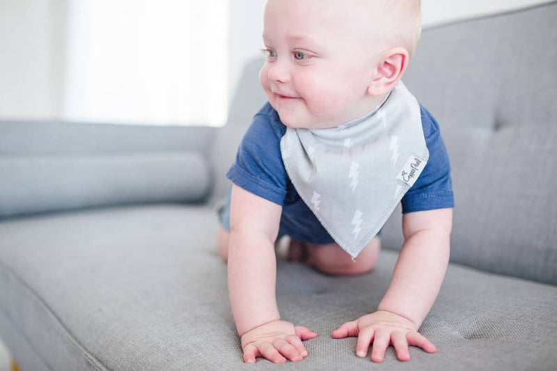 Bandana Bib Set 4pk - Wild