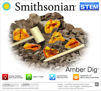 Smithsonian Amber Dig