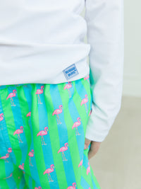 Neon Flamingo Stripe - Swim Trunks