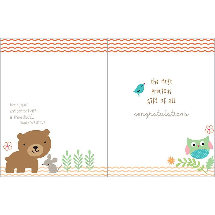 Baby Card - Animals in Canoe