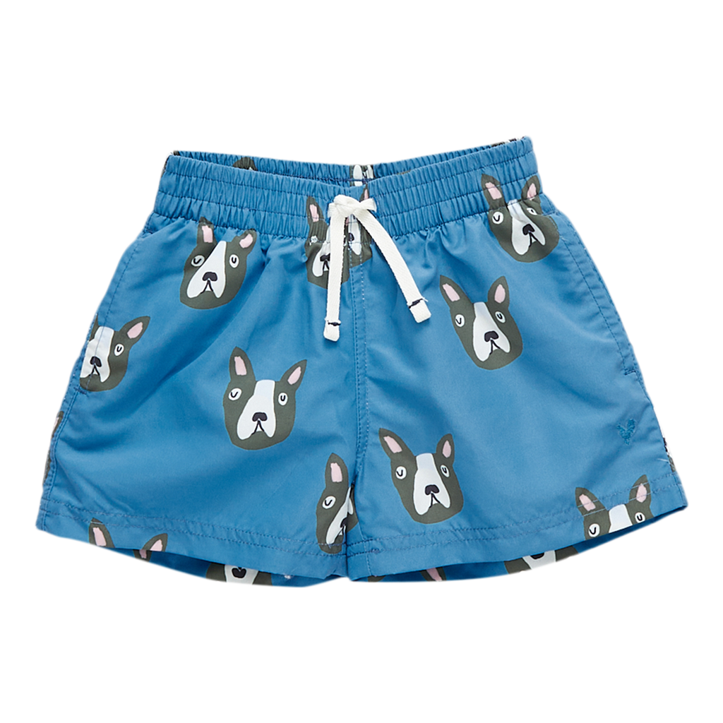 Boys Swim Trunk | Blue Boston Terrier