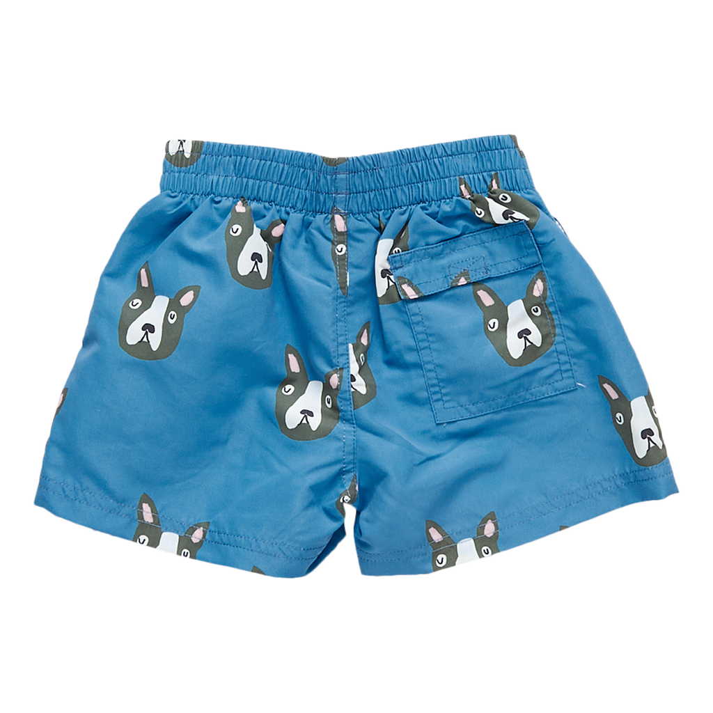 Boys Swim Trunk | Blue Boston Terrier