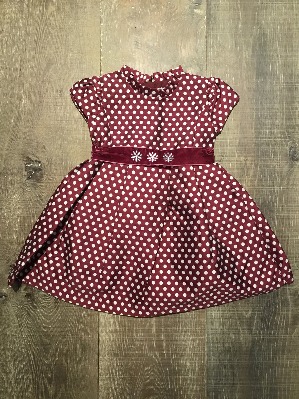 Wine & Cream Dotted Dress